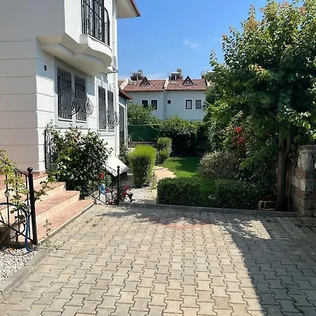 Melissa 费特希耶